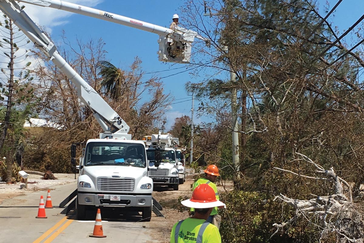 Tree trimming crews clear lines after a storm.